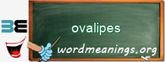 WordMeaning blackboard for ovalipes